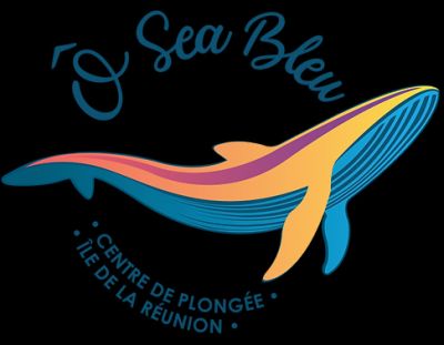 Ô Sea Bleu, Centre De Plongée, Île De La Réunion | Saint-Gilles